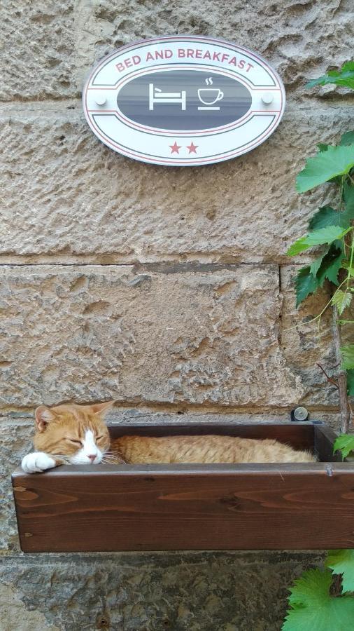 Biddanoa Bed And Breakfast Κάλιαρι Εξωτερικό φωτογραφία